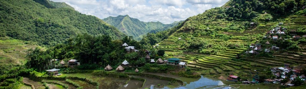 philippines, rice terraces, batad