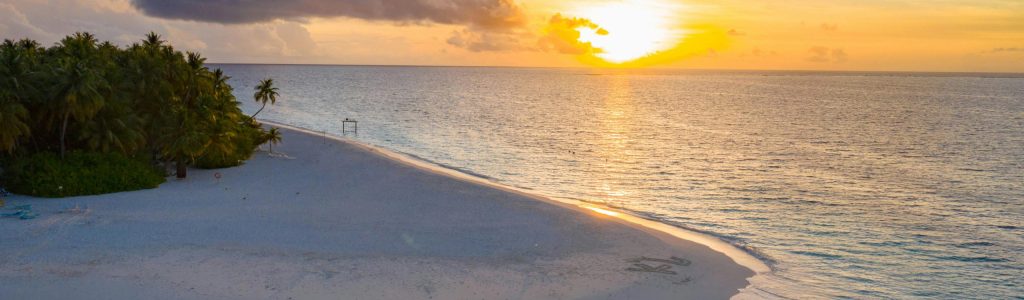 People on Beach during Sunset